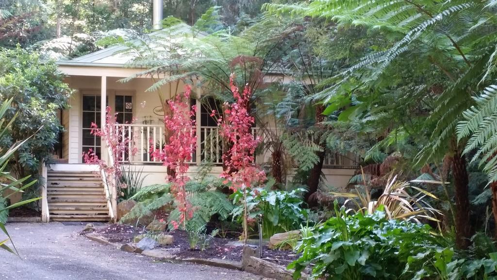 Myers Creek Cascades Luxury Cottages Healesville Exterior photo