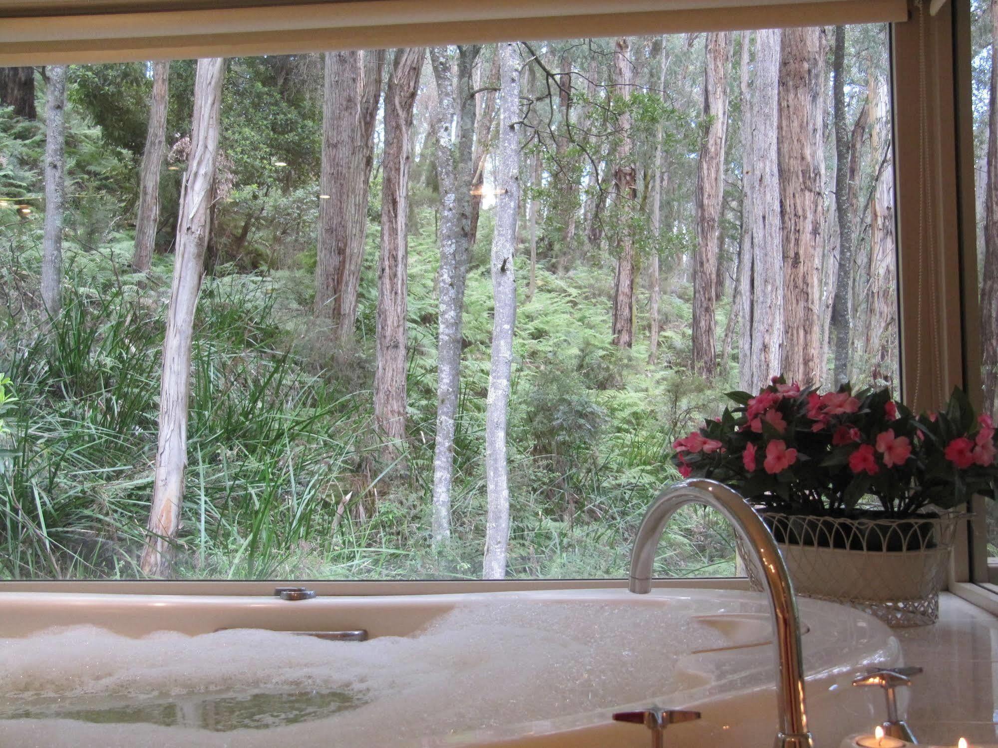 Myers Creek Cascades Luxury Cottages Healesville Exterior photo