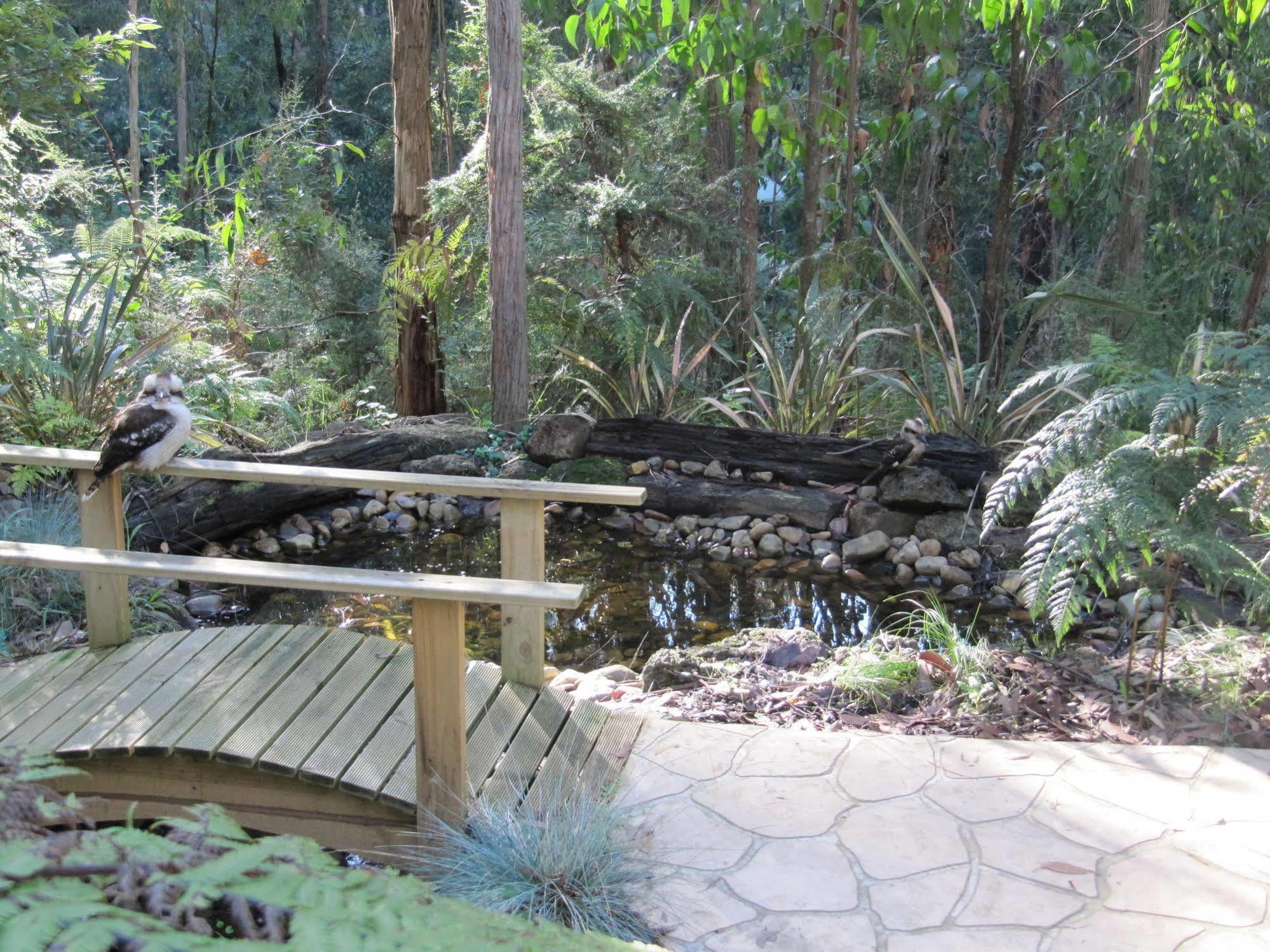 Myers Creek Cascades Luxury Cottages Healesville Exterior photo