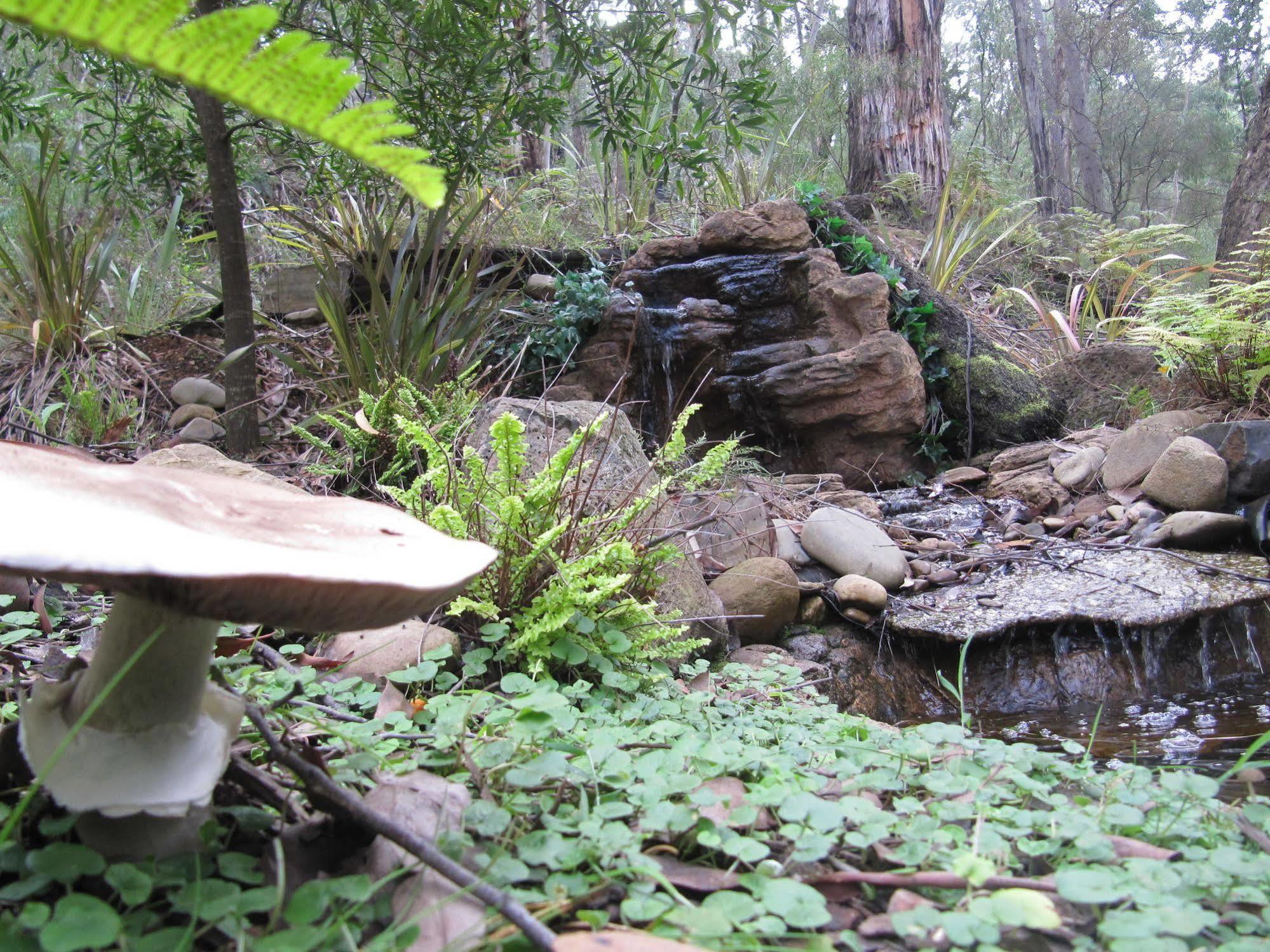 Myers Creek Cascades Luxury Cottages Healesville Exterior photo