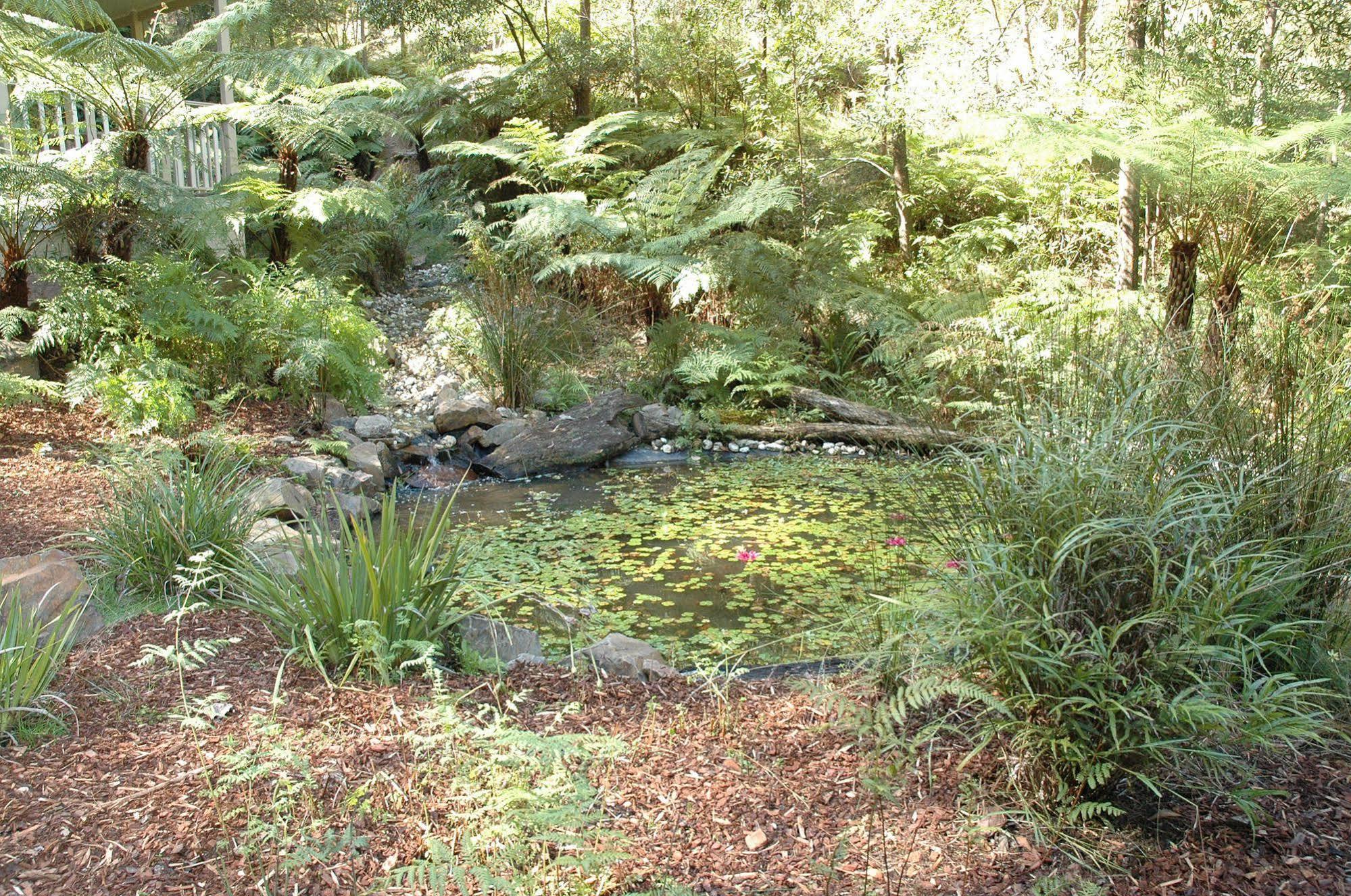 Myers Creek Cascades Luxury Cottages Healesville Exterior photo
