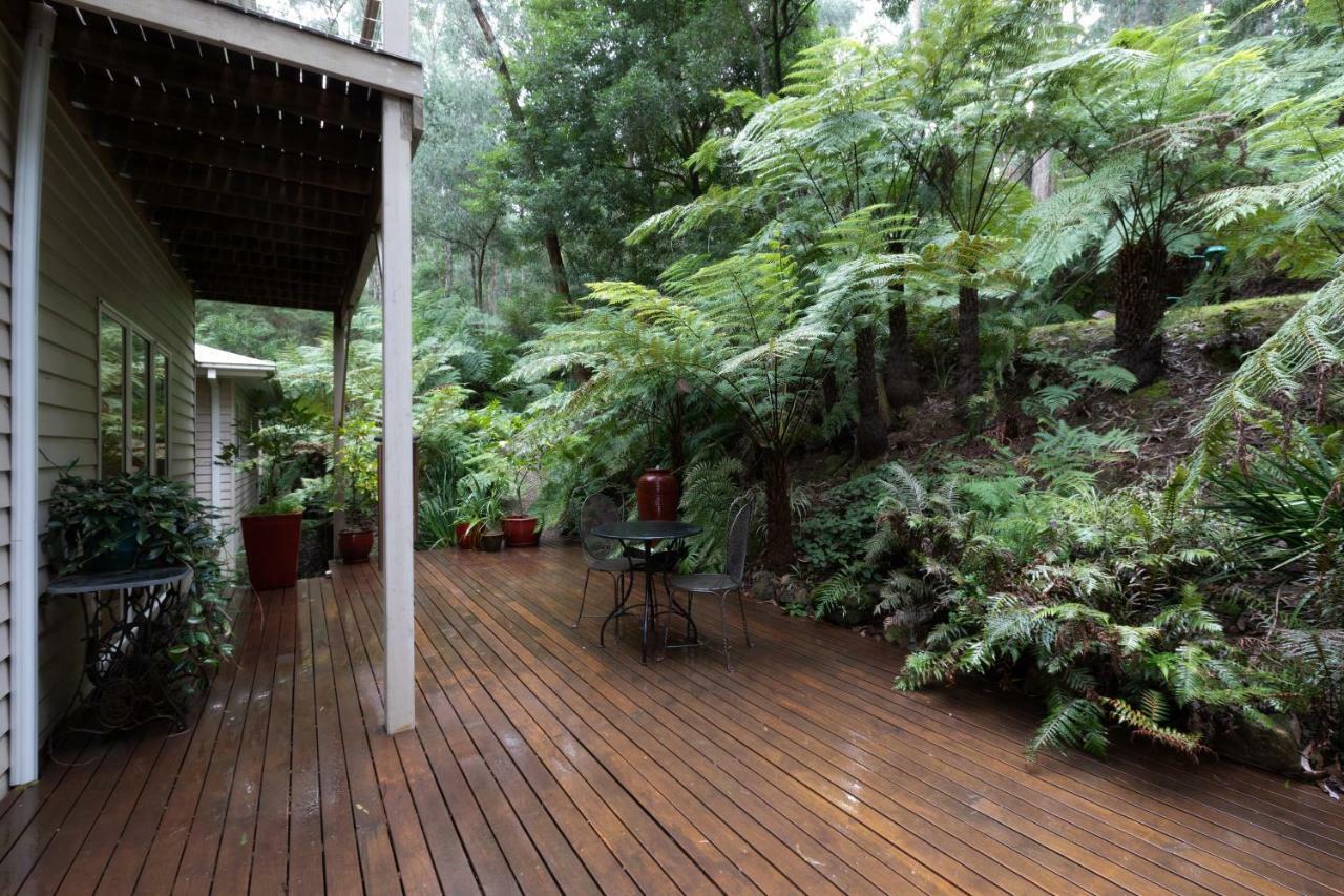Myers Creek Cascades Luxury Cottages Healesville Exterior photo