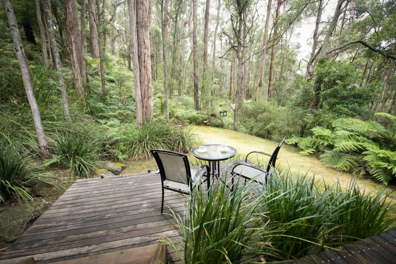 Myers Creek Cascades Luxury Cottages Healesville Exterior photo